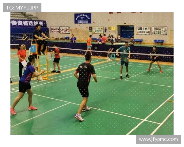 杭州羽毛球队实力深度解析与其他球队的对比分析