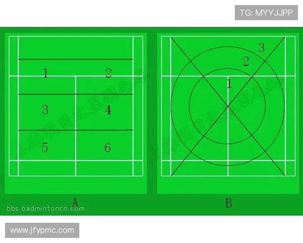 武汉羽毛球队配合表现数据分析与战术探讨的深度研究 武汉羽毛球队配合表现数据分析与战术探讨的深度研究