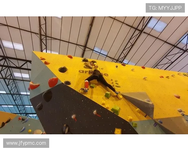 南京攀岩队的节奏探秘与训练心得分享